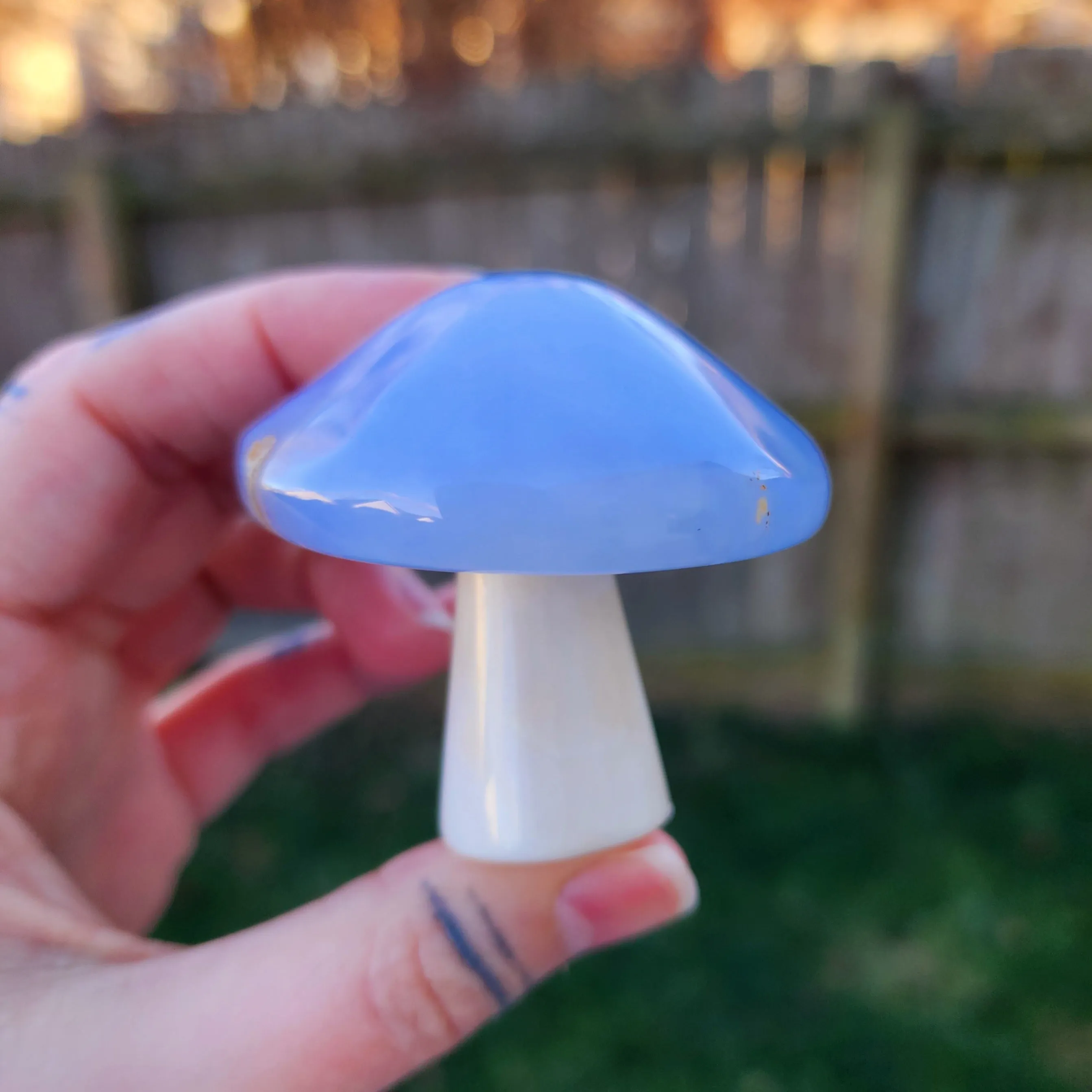 Blue Chalcedony Mushroom