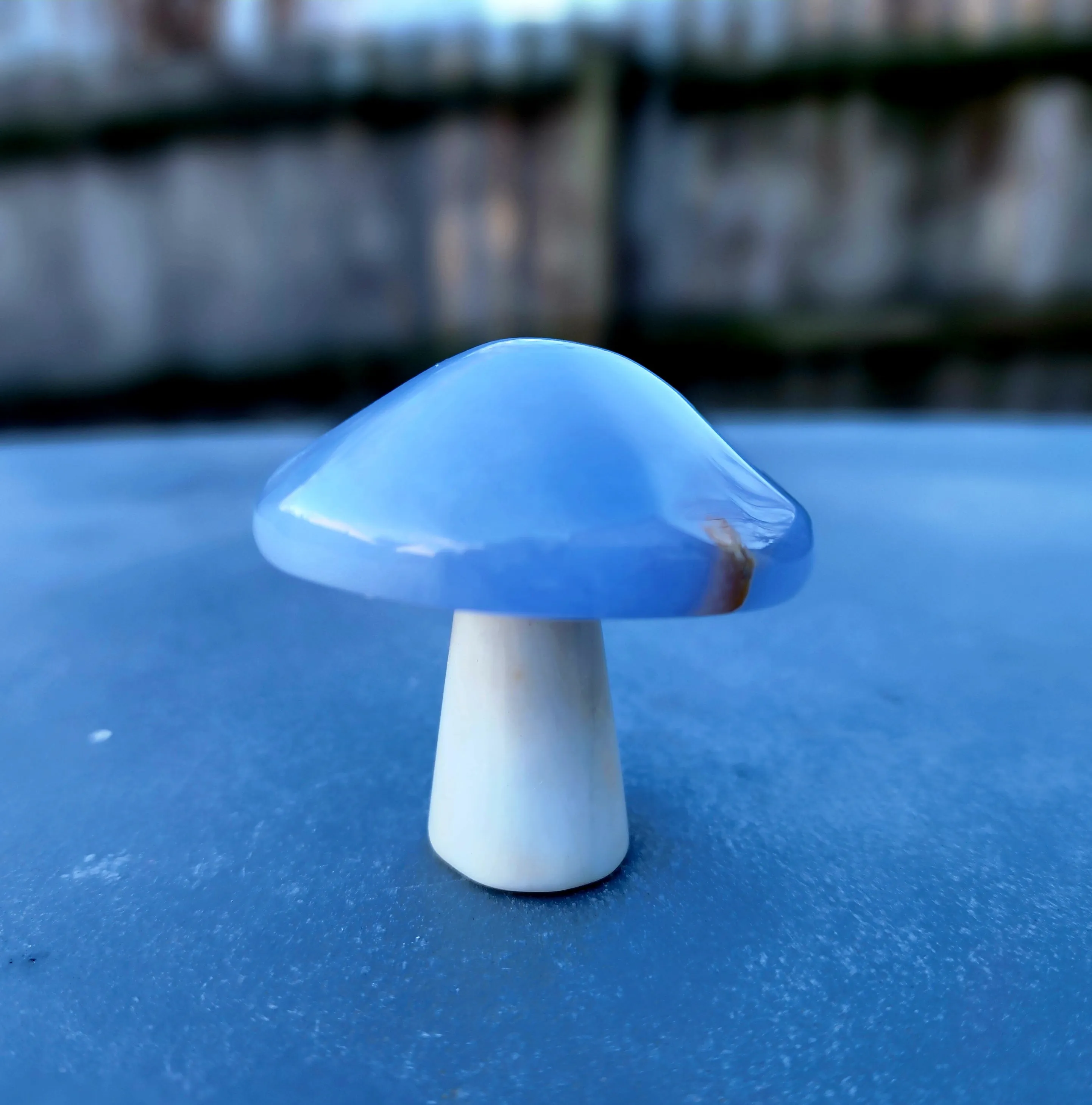 Blue Chalcedony Mushroom