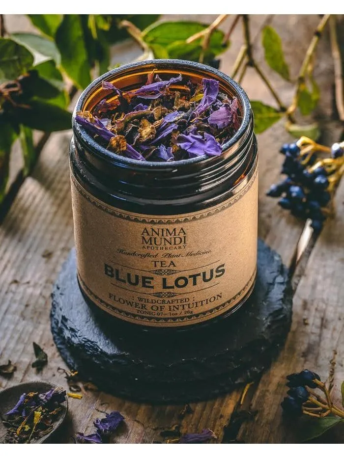 BLUE LOTUS: Flower of Intuition Tea