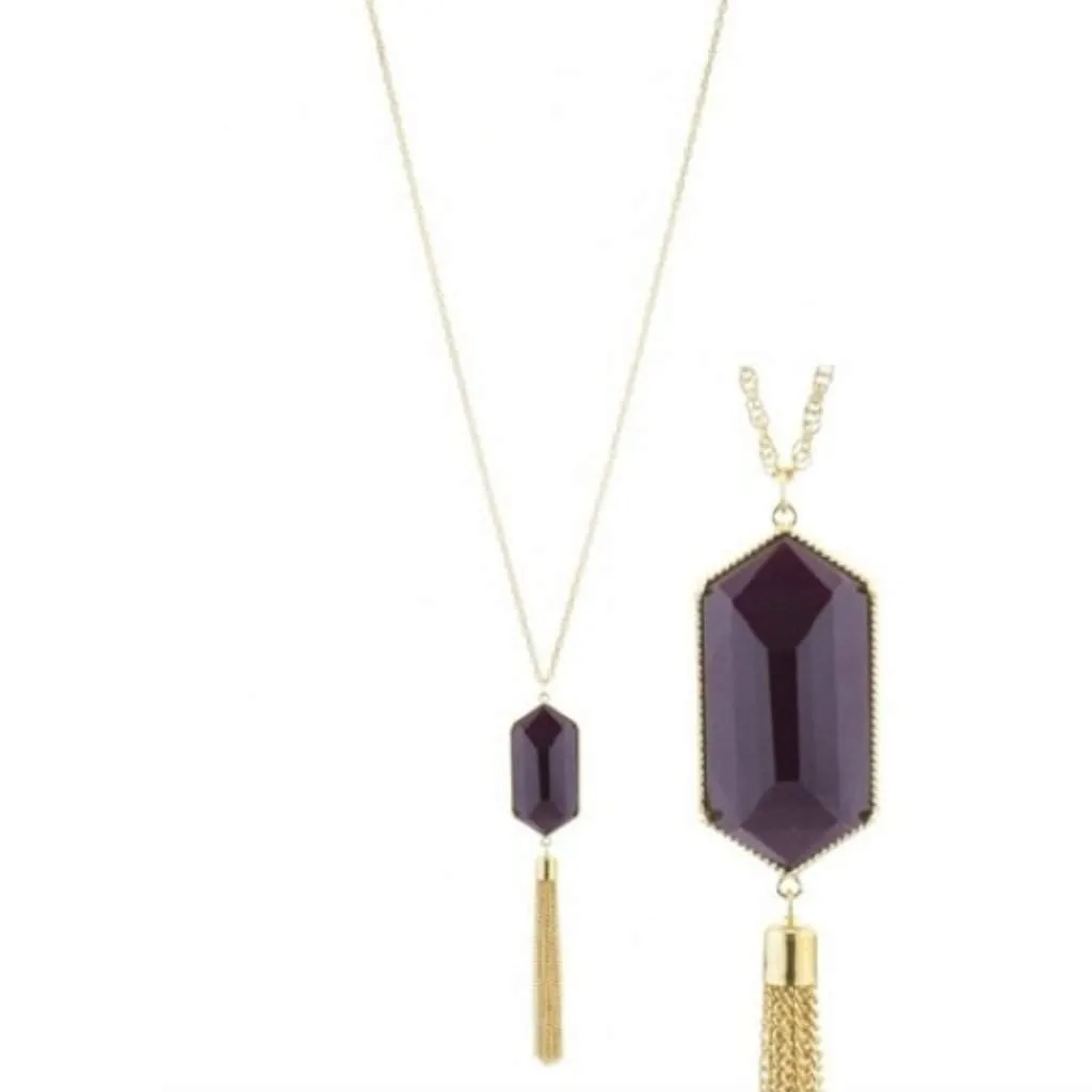 Brown Resin Stone and Gold Tassel Long Necklace