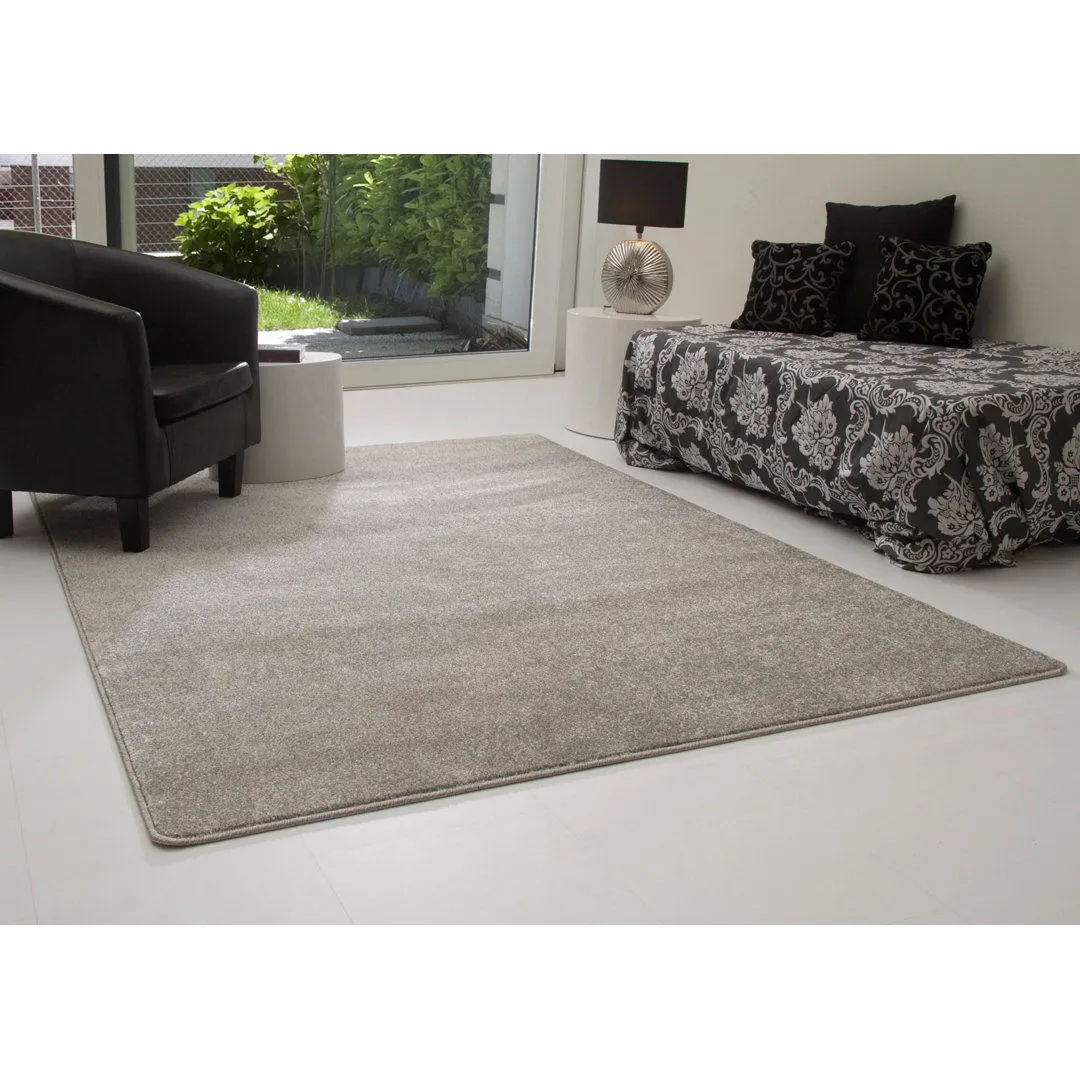 Cardero Grey Rug