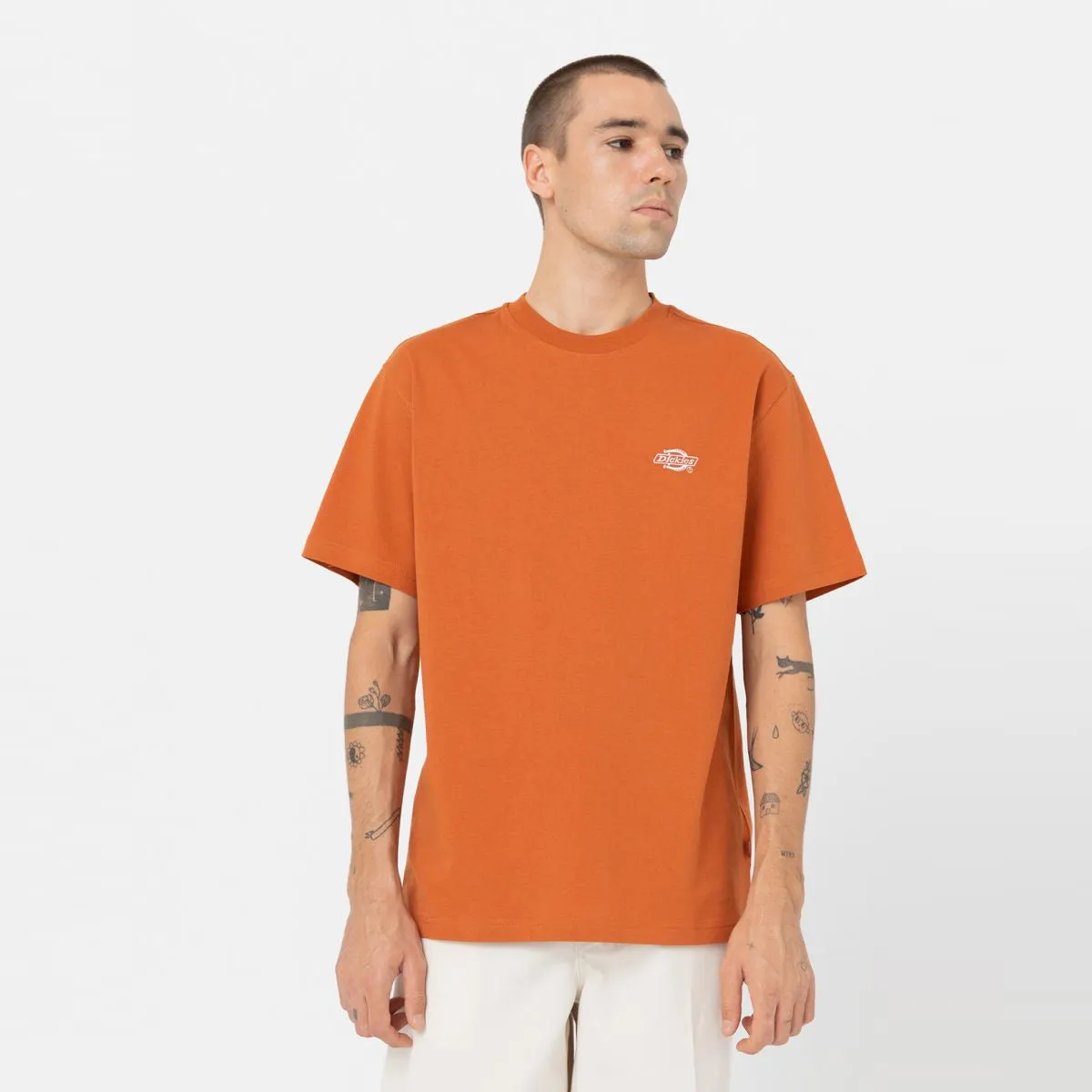 Dickies - T-Shirt Summerdale Bombay Brown - DK0A4YAI - BOMBAY/BROWN