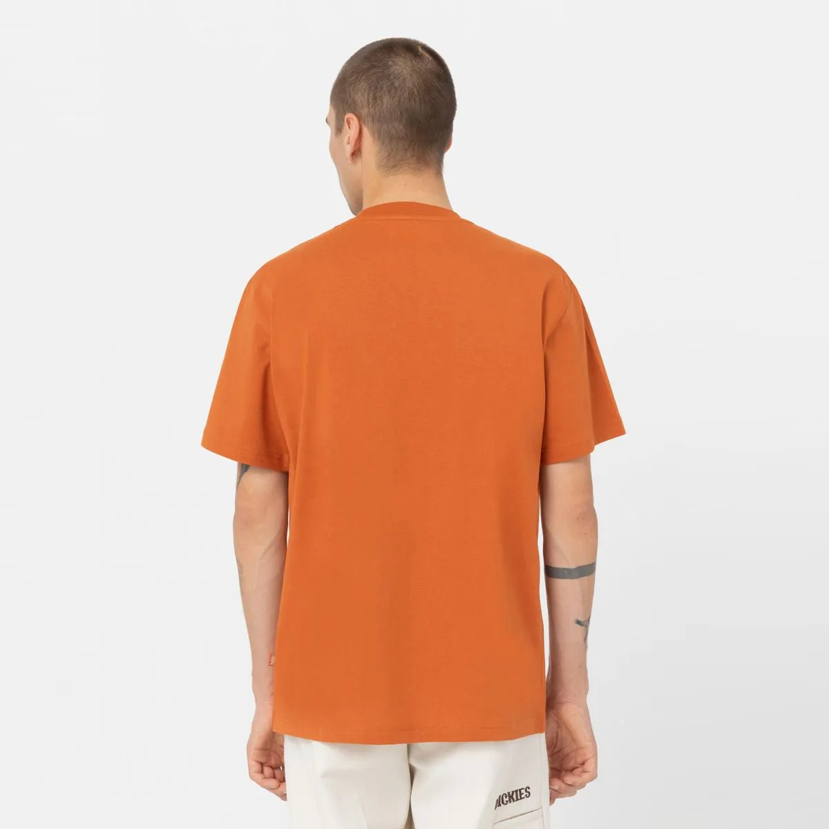 Dickies - T-Shirt Summerdale Bombay Brown - DK0A4YAI - BOMBAY/BROWN