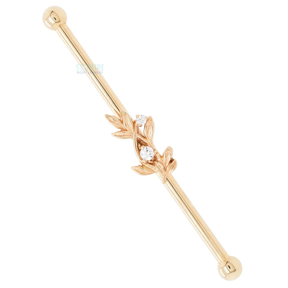 Jessamine Industrial Barbell in Gold with White CZ's