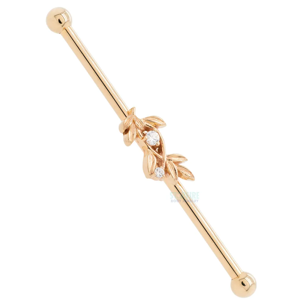 Jessamine Industrial Barbell in Gold with White CZ's