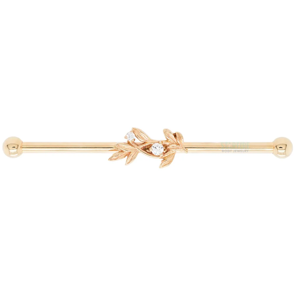 Jessamine Industrial Barbell in Gold with White CZ's