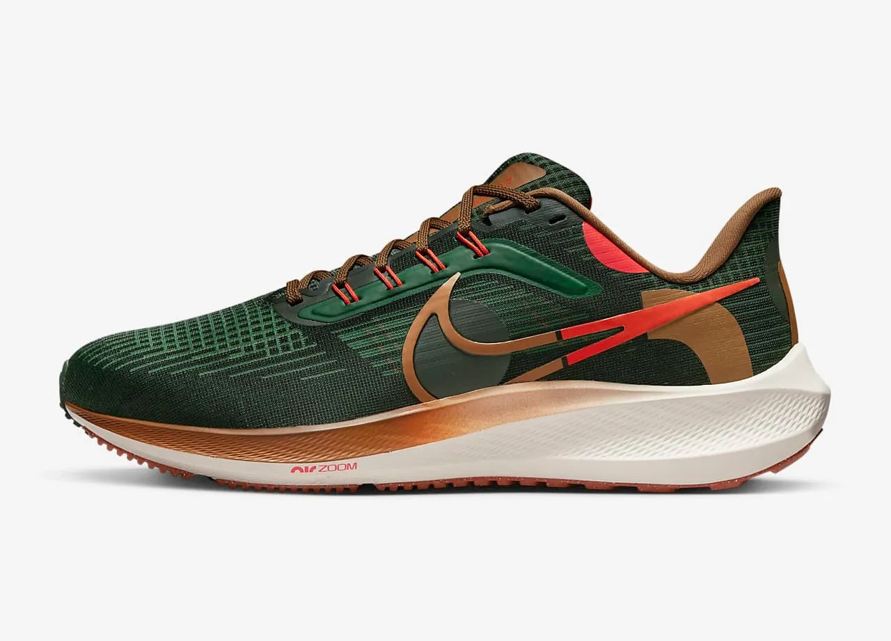 Nike Air Zoom Pegasus 39 A.I.R. Hola Lou Gorge Green Ale Brown Orange DO9500-300