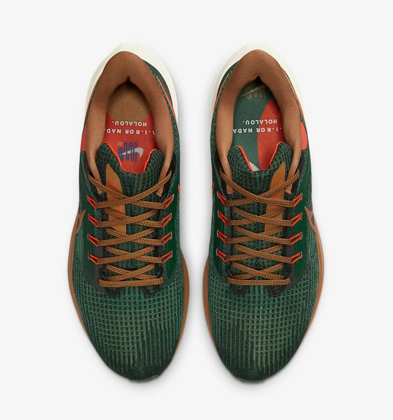 Nike Air Zoom Pegasus 39 A.I.R. Hola Lou Gorge Green Ale Brown Orange DO9500-300