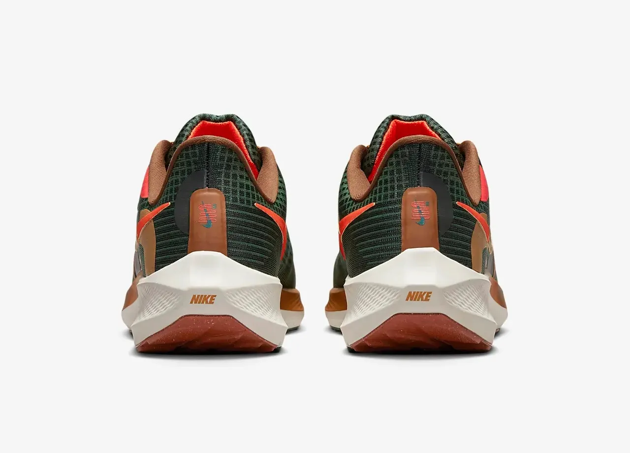 Nike Air Zoom Pegasus 39 A.I.R. Hola Lou Gorge Green Ale Brown Orange DO9500-300