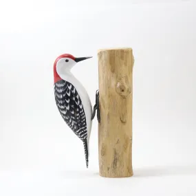 Red Bellied Woodpecker in Wood