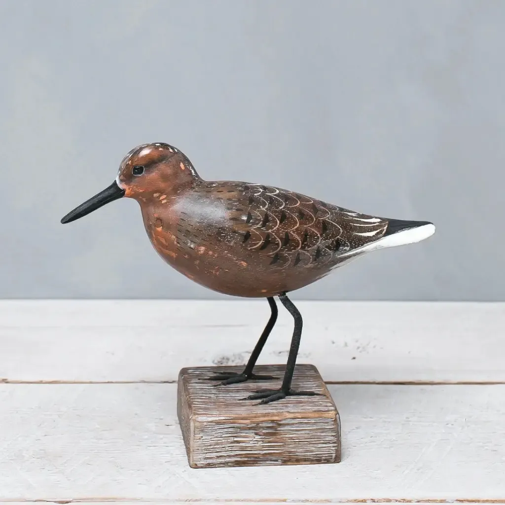 Wooden Red Knot - Feeding