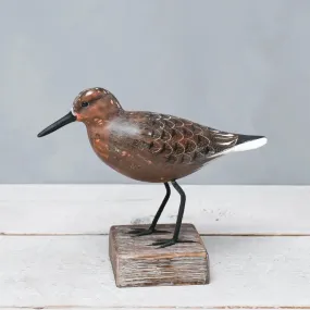 Wooden Red Knot - Feeding